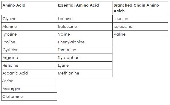 Amino Acid Chart